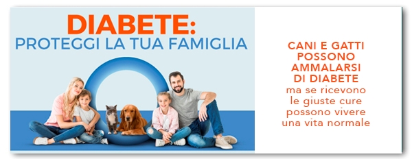 diabete